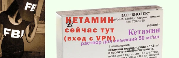 крисы Тында
