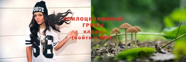 крисы Тында