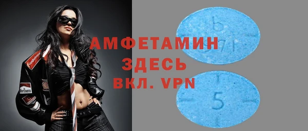 крисы Тында