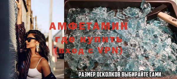 крисы Тында