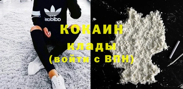 крисы Тында