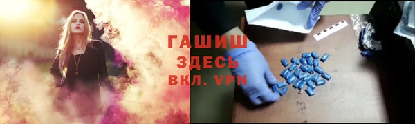 крисы Тында