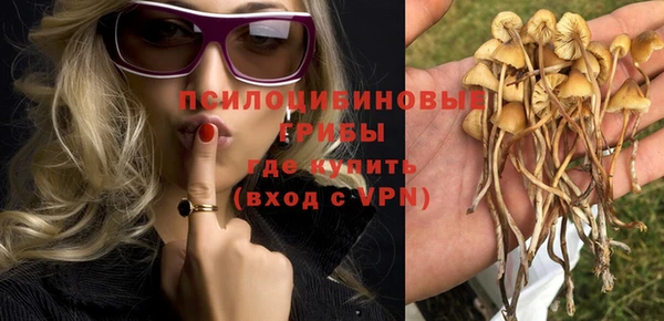 крисы Тында