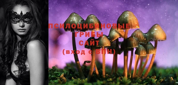 альфа пвп Туринск