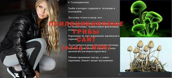 крисы Тында