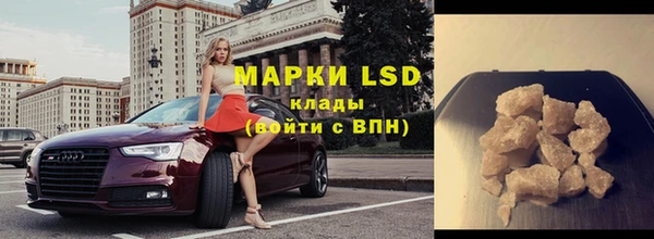 крисы Тында
