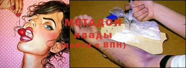 крисы Тында