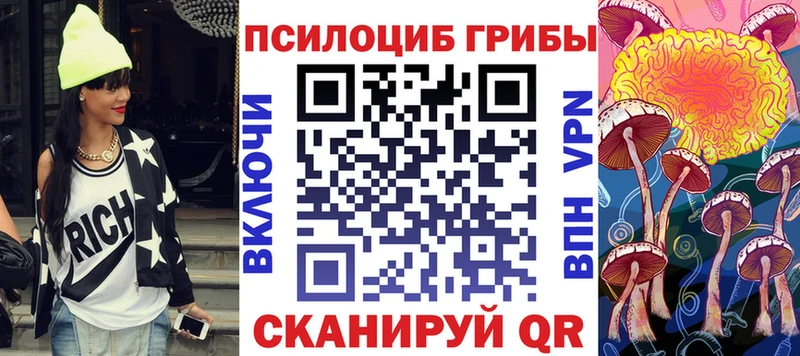 цены Севастополь Псилоцибиновые грибы GOLDEN TEACHER