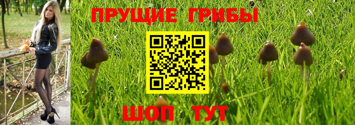 Псилоцибиновые грибы Cubensis  Вход с VPN  Галлюциногенные грибы GOLDEN TEACHER  Севастополь 