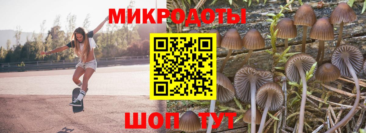 Галлюциногенные грибы ЛСД Севастополь